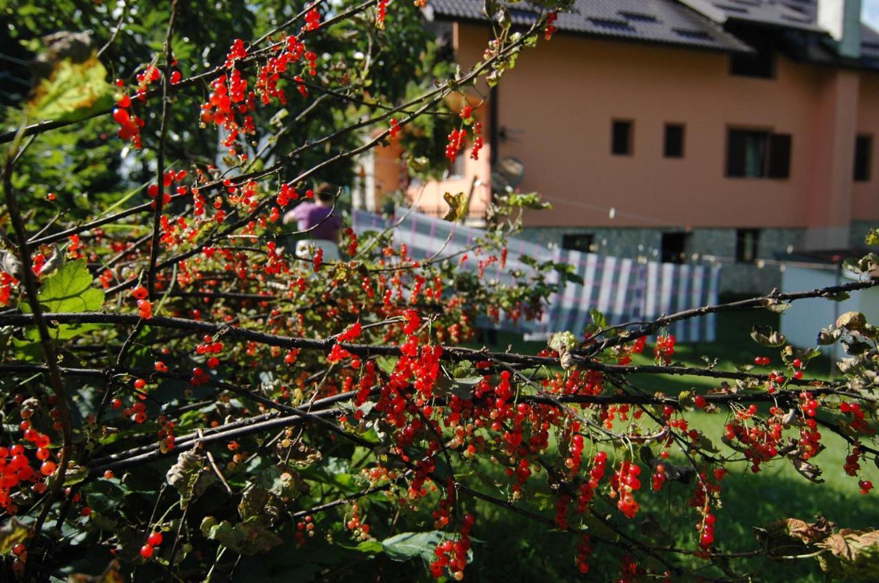 Plitvice Rooms Family Glumac พลิตวิชกา เยเซรา ภายนอก รูปภาพ